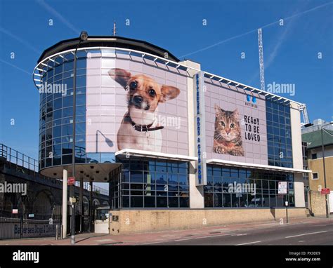 battersea dogs and cats home lottery|Battersea Dogs and Cats Home .